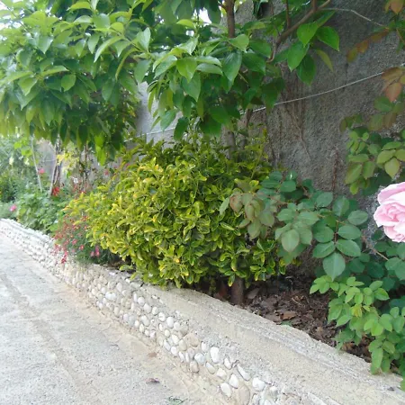 Hida